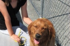 Dewey (14)