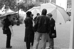 IMG_0517
