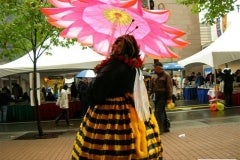 Beeladyshowsherwings